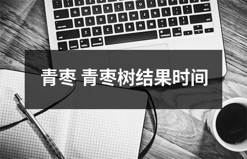 青枣 青枣树结果时间