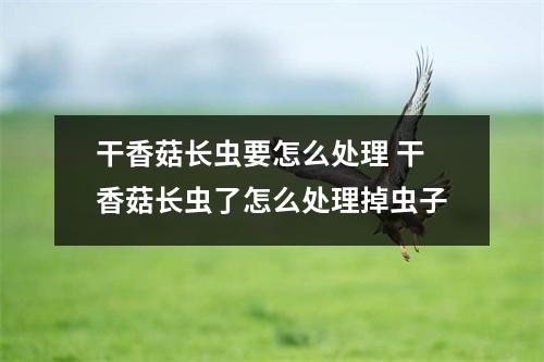 干香菇长虫要怎么处理 干香菇长虫了怎么处理掉虫子