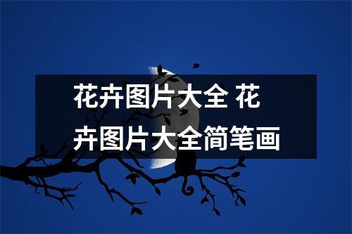 花卉图片大全 花卉图片大全简笔画