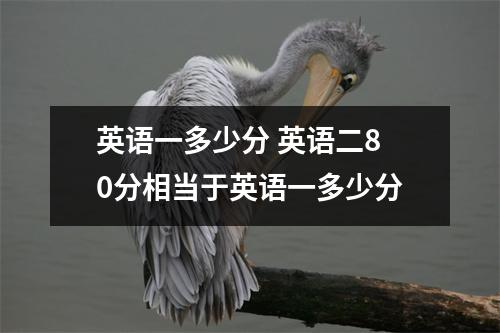 英语一多少分 英语二80分相当于英语一多少分