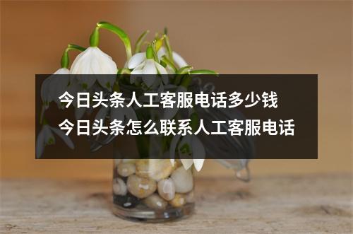 今日头条人工客服电话多少钱 今日头条怎么联系人工客服电话