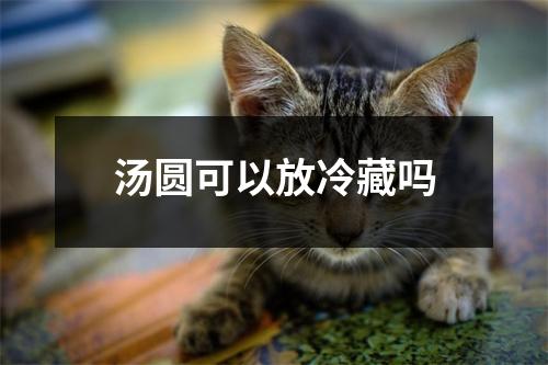 汤圆可以放冷藏吗