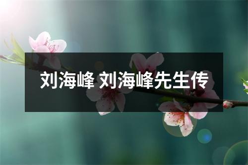 刘海峰 刘海峰先生传