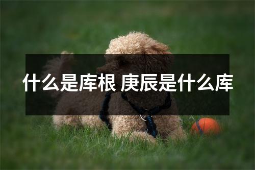 什么是库根 庚辰是什么库