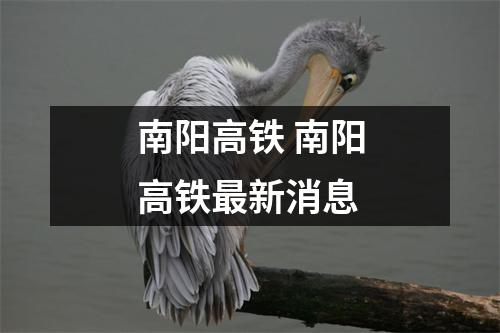 南阳高铁 南阳高铁最新消息