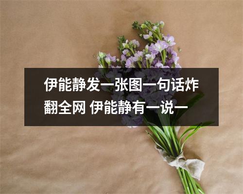 伊能静发一张图一句话炸翻全网 伊能静有一说一