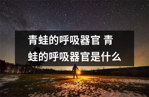 青蛙的呼吸器官 青蛙的呼吸器官是什么 青蛙的呼吸器官 青蛙的呼吸器官是什么