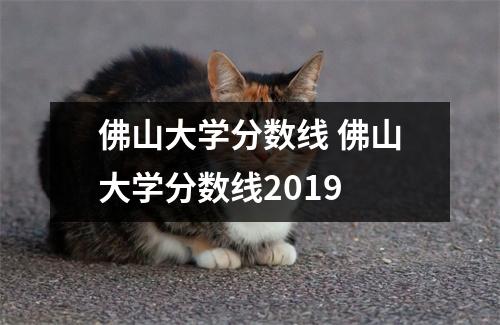 佛山大学分数线 佛山大学分数线2019
