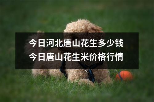 今日河北唐山花生多少钱 今日唐山花生米价格行情