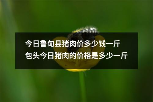 今日鲁甸县猪肉价多少钱一斤 包头今日猪肉的价格是多少一斤