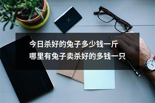 今日杀好的兔子多少钱一斤 哪里有兔子卖杀好的多钱一只