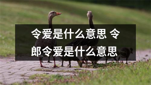 令爱是什么意思 令郎令爱是什么意思