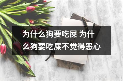为什么狗要吃屎 为什么狗要吃屎不觉得恶心