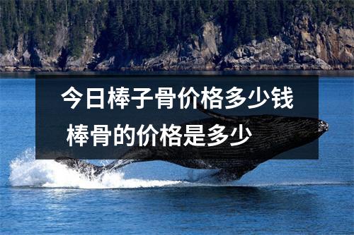 今日棒子骨价格多少钱 棒骨的价格是多少