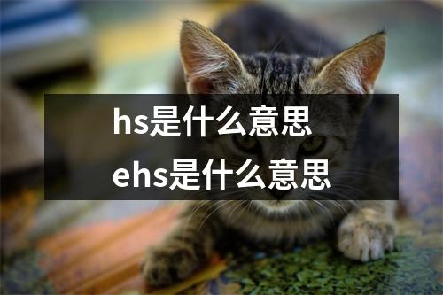 hs是什么意思 ehs是什么意思
