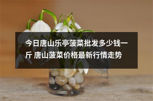 今日唐山乐亭菠菜批发多少钱一斤 唐山菠菜价格最新行情走势