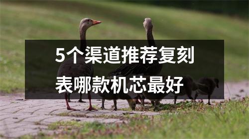 5个渠道推荐复刻表哪款机芯最好 5个渠道推荐复刻表哪款机芯最好