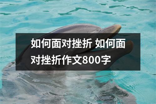 如何面对挫折 如何面对挫折作文800字 如何面对挫折 如何面对挫折作文800字