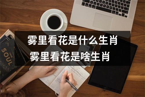 雾里看花是什么生肖 雾里看花是啥生肖