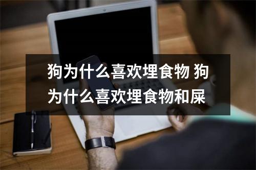狗为什么喜欢埋食物 狗为什么喜欢埋食物和屎