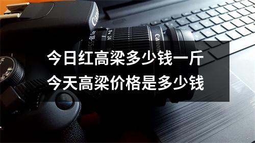 今日红高梁多少钱一斤 今天高梁价格是多少钱 今日红高梁多少钱一斤 今天高梁价格是多少钱