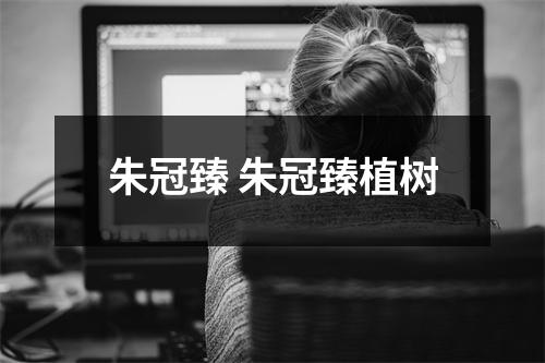 朱冠臻 朱冠臻植树