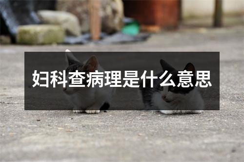 妇科查病理是什么意思