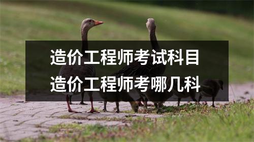 造价工程师考试科目 造价工程师考哪几科