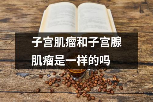 子宫肌瘤和子宫腺肌瘤是一样的吗