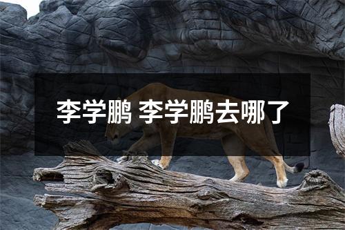 李学鹏 李学鹏去哪了