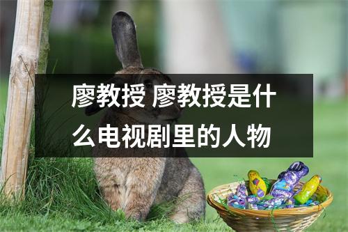 廖教授 廖教授是什么电视剧里的人物