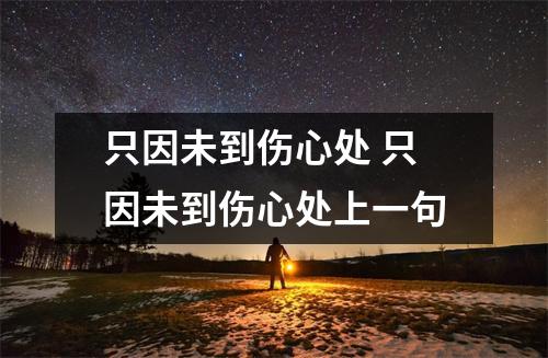 只因未到伤心处 只因未到伤心处上一句