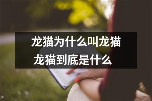 龙猫为什么叫龙猫 龙猫到底是什么