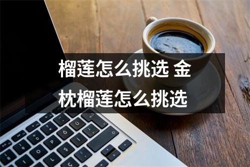 榴莲怎么挑选 金枕榴莲怎么挑选