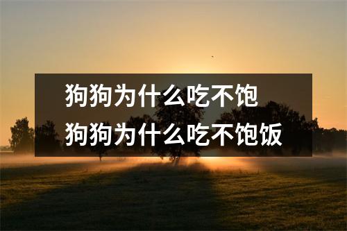 狗狗为什么吃不饱 狗狗为什么吃不饱饭