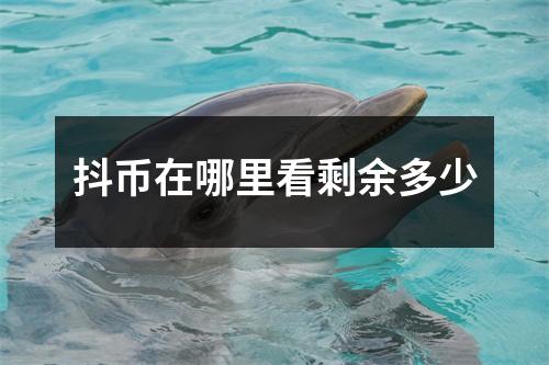 抖币在哪里看剩余多少