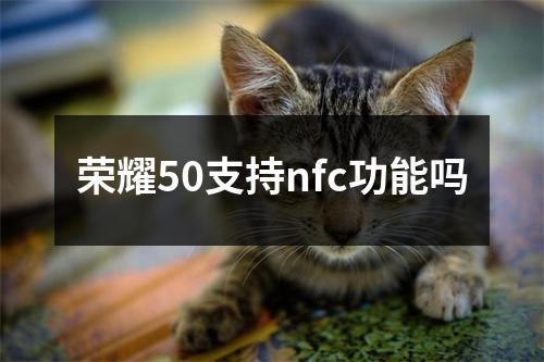 荣耀50支持nfc功能吗