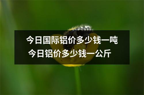 今日国际铝价多少钱一吨 今日铝价多少钱一公斤