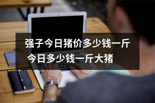 强子今日猪价多少钱一斤 今日多少钱一斤大猪