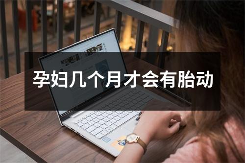 孕妇几个月才会有胎动