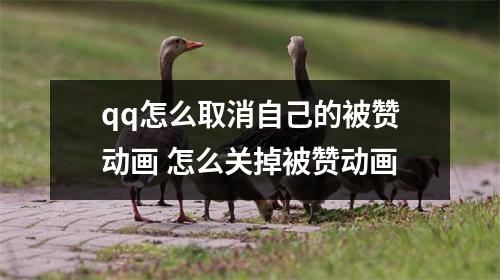 qq怎么取消自己的被赞动画 怎么关掉被赞动画