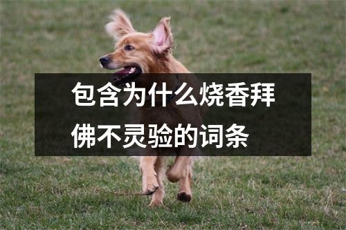 包含为什么烧香拜佛不灵验的词条