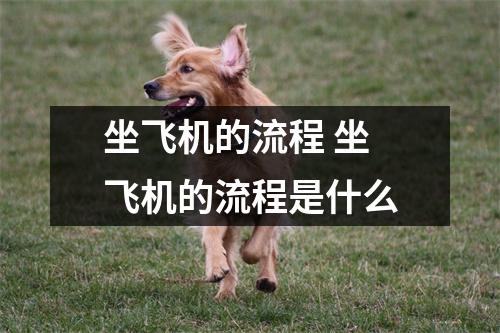 坐飞机的流程 坐飞机的流程是什么