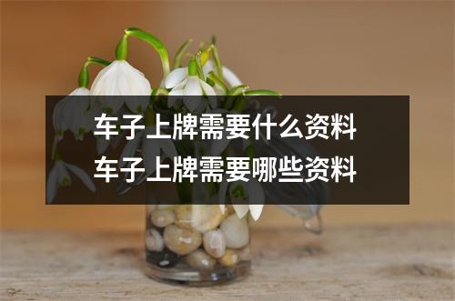 车子上牌需要什么资料 车子上牌需要哪些资料 
