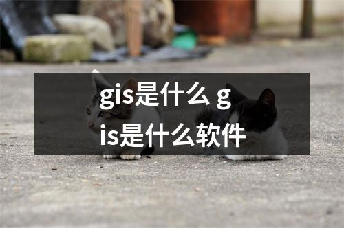 gis是什么 gis是什么软件