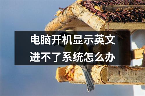 电脑开机显示英文进不了系统怎么办