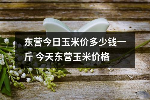 东营今日玉米价多少钱一斤 今天东营玉米价格