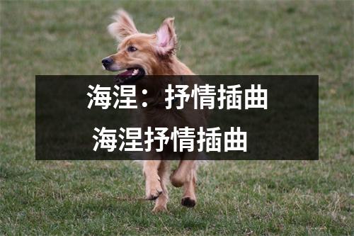 海涅：抒情插曲 海涅抒情插曲