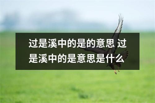 过是溪中的是的意思 过是溪中的是意思是什么 过是溪中的是的意思 过是溪中的是意思是什么