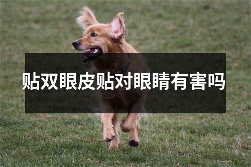 贴双眼皮贴对眼睛有害吗